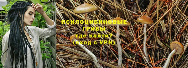 соль курить ск Вязьма