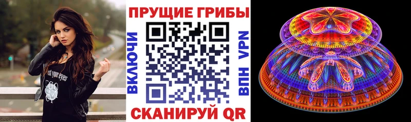 Галлюциногенные грибы Magic Shrooms  blacksprut сайт  Петрозаводск 